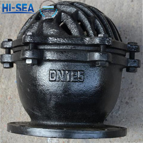 Cast-Iron-Foot-Valve2.jpg