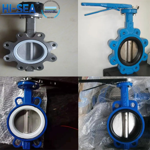 What is the difference between lug type butterfly valves and wafer type butterfly valves PIC.jpg