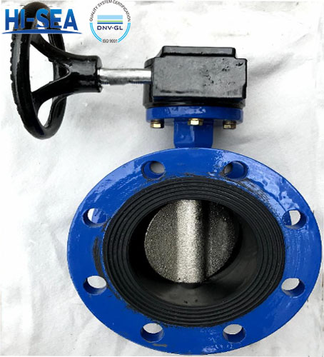 JIS-F7480-Marine-Double-Flanged-Type-Butterfly-Valve2.jpg