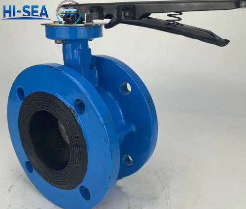 Marine-Double-Flanged-Butterfly-Valve2.jpg