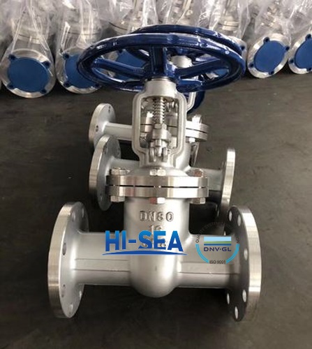 flange-gate-valve-dra.jpg