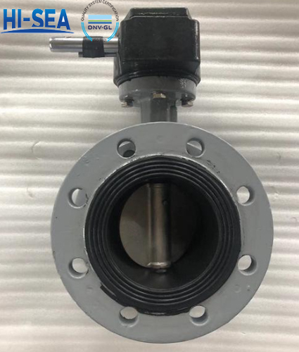 DIN-Marine-Butterfly-Valve2.jpg