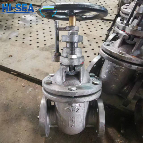 what-is-marine-gate-valve2.jpg