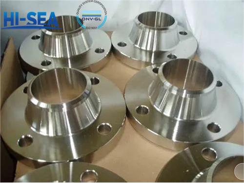 ANSI-Class-300-Flange-pic.jpg